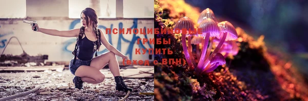 трава Беломорск