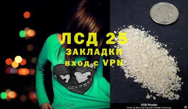 трава Беломорск