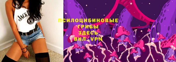 трава Беломорск